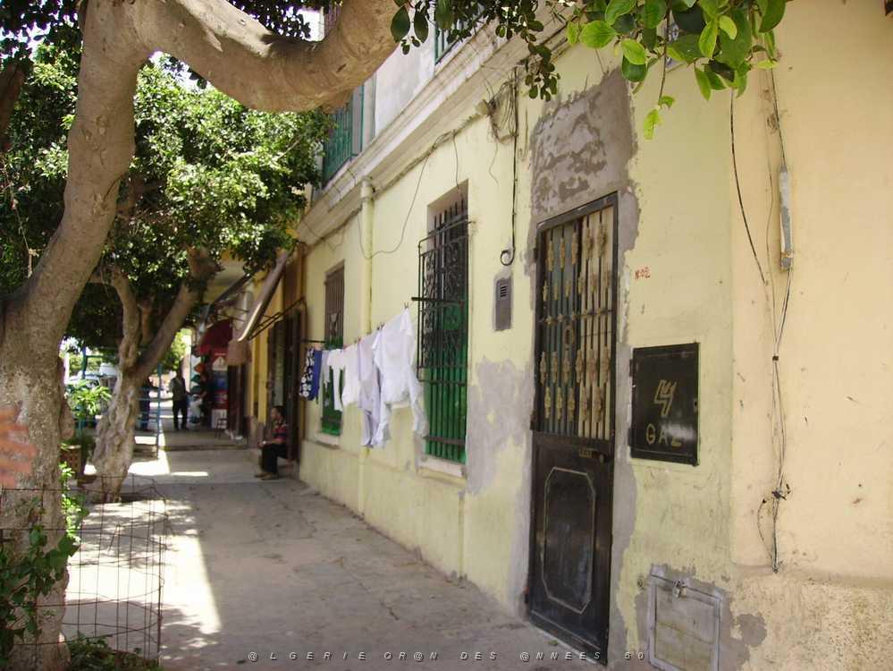 ORAN 2008 HIPPODROME 06SQUARE GARSON FRERES MERCADIERS.jpg
